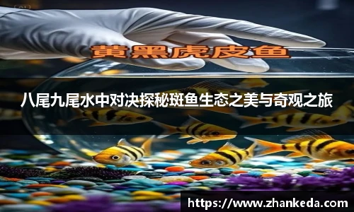 jinnianhui